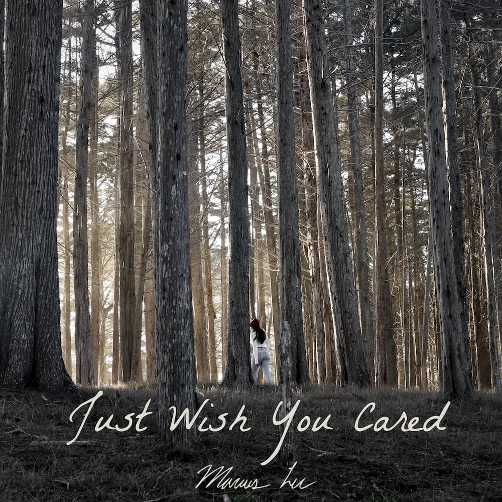 Cover art for Just Wish You Cared by Marcus Lee